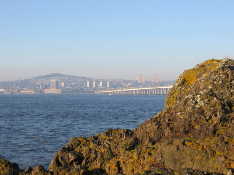 Dundee and Tay Road Bridge from Fife, Scotland